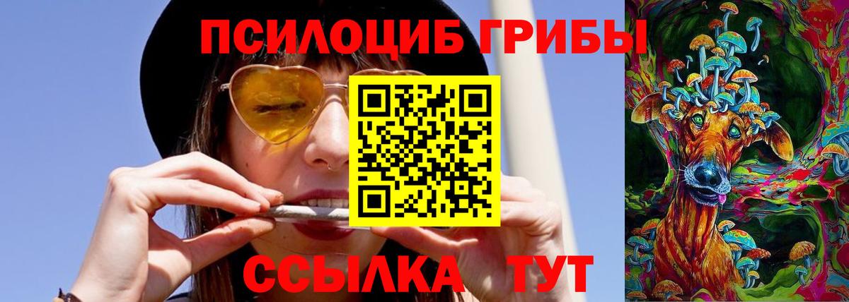 Псилоцибиновые грибы MAGIC MUSHROOMS Шуя